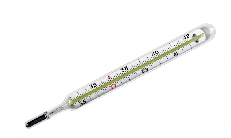 Термометр ртутный в футляре TVY-120 - купить в магазине Медтехника+
